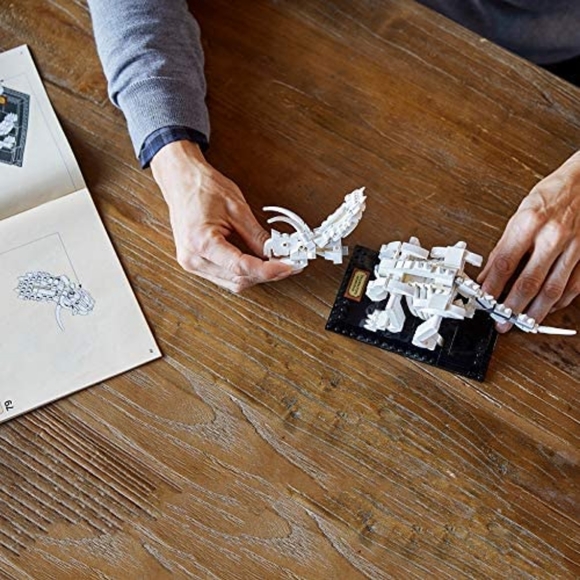 LEGO IDEAS *RETIRED&COLLECTIBLE* Dinosaur Fossils Building Kit (910 Pieces) NIB - Picture 11 of 11